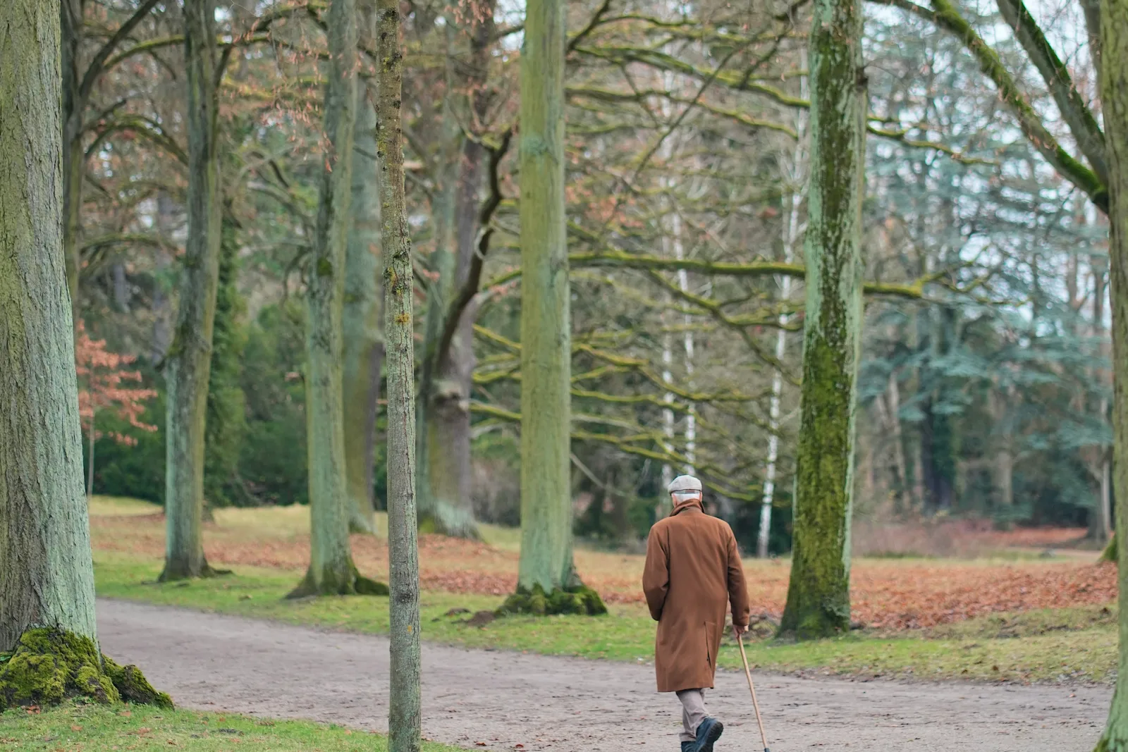 Older adult walking alone along a park path in autumn